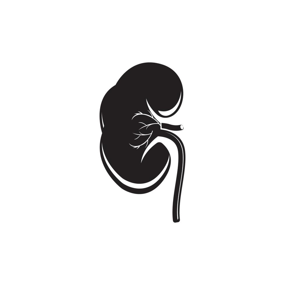 ilustração do ícone do vetor do sistema renal