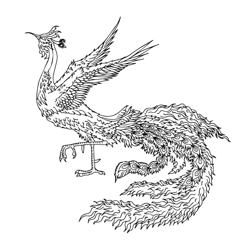 ilustração de design contorno de pássaro fênix asiático vetor