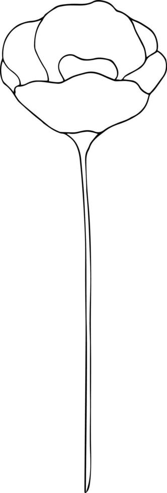 flor desenhada à mão em fundo branco. desenho floral de contorno de uma linha. elemento botânico de contorno. ilustração vetorial vetor