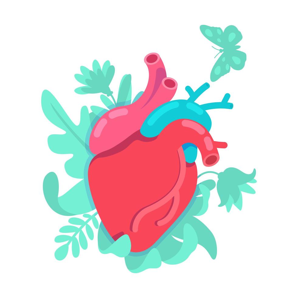 sistema anatômico do coração vetor