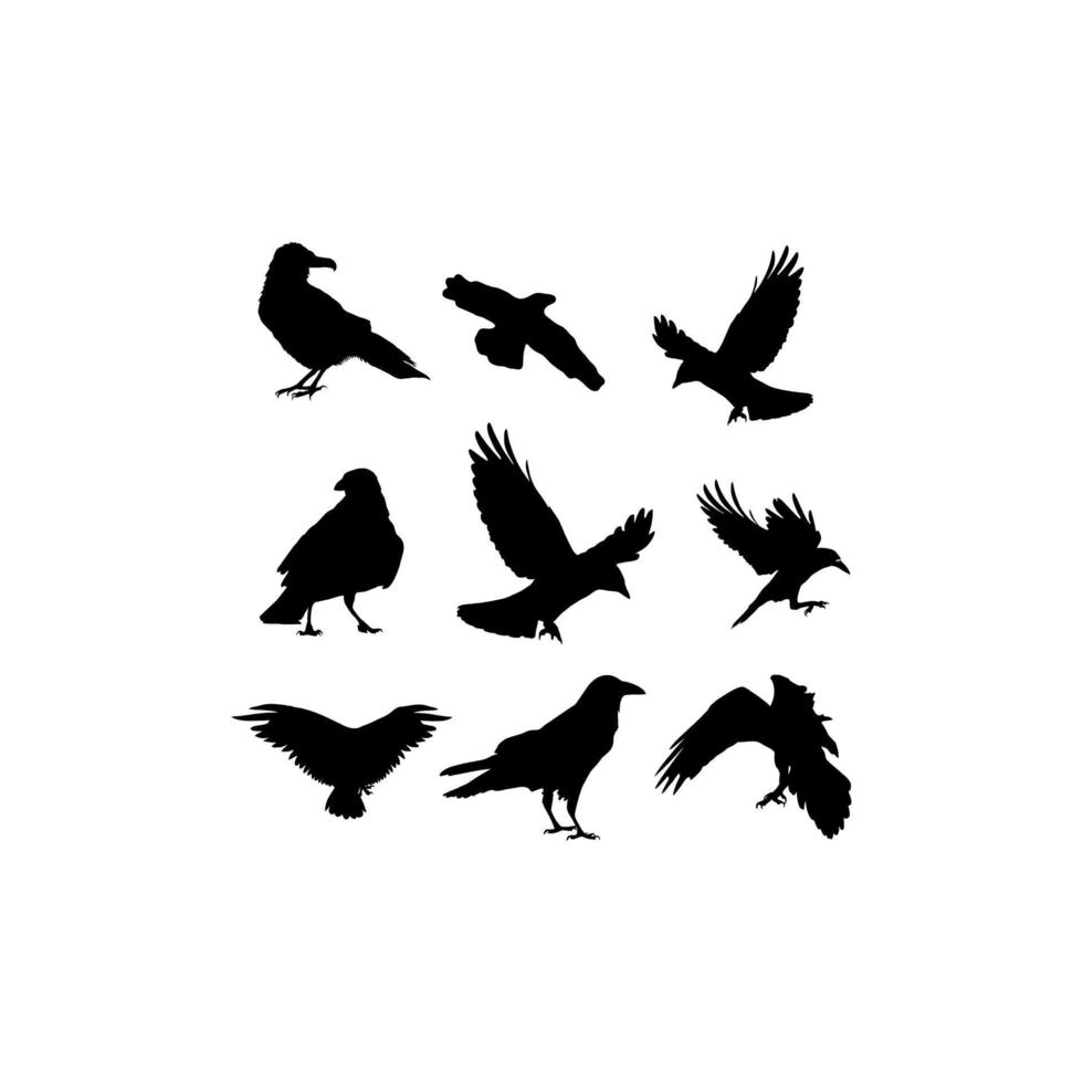 cenografia da coleção pássaro corvo vetor