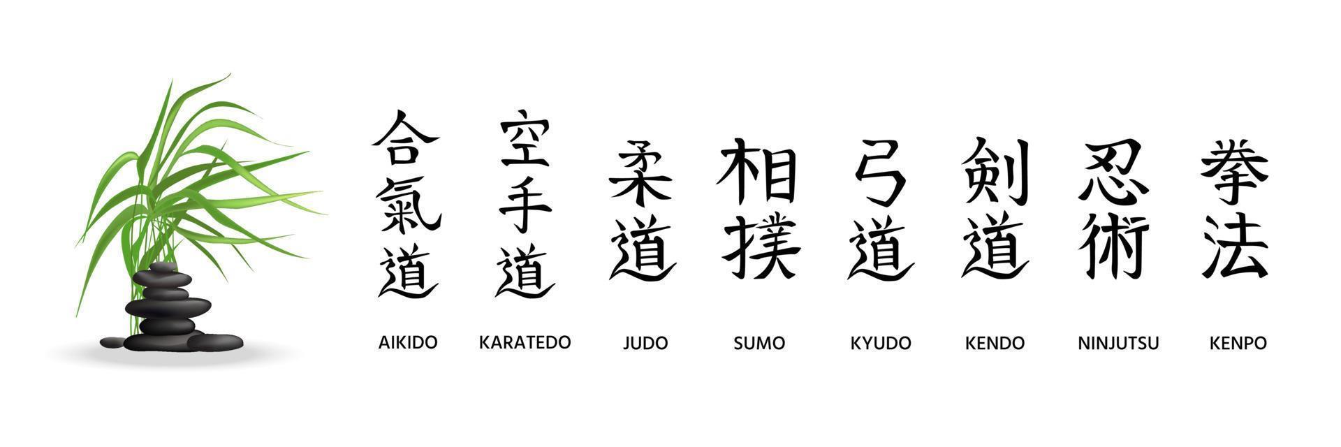 aikido, karatedo, judo, sumo, kyudo, kendo, ninjutsu, kenpo. nomes caligráficos de artes marciais japonesas, estilos de luta. torre de pedra de pedra zen japonesa e junco verde vetor
