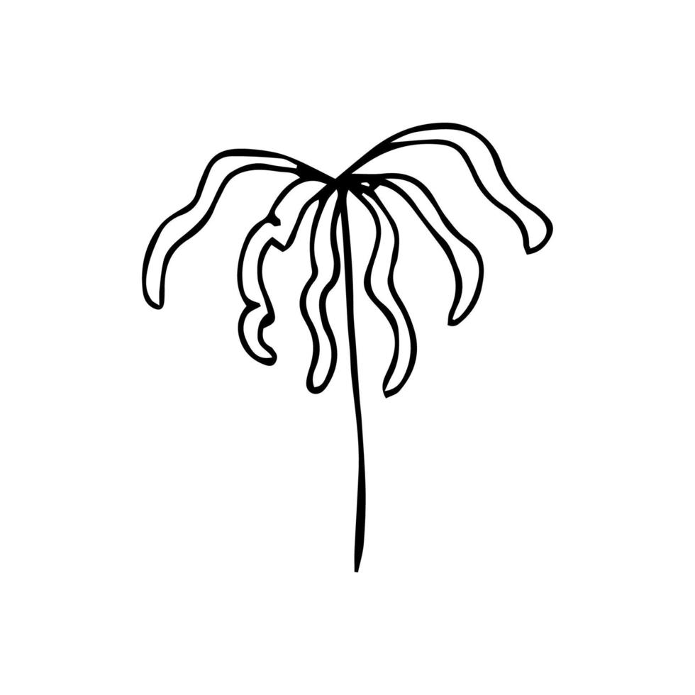 vetor plantas desenhadas à mão minimalistas. ilustração de planta para logotipo e decoração em estilo vintage