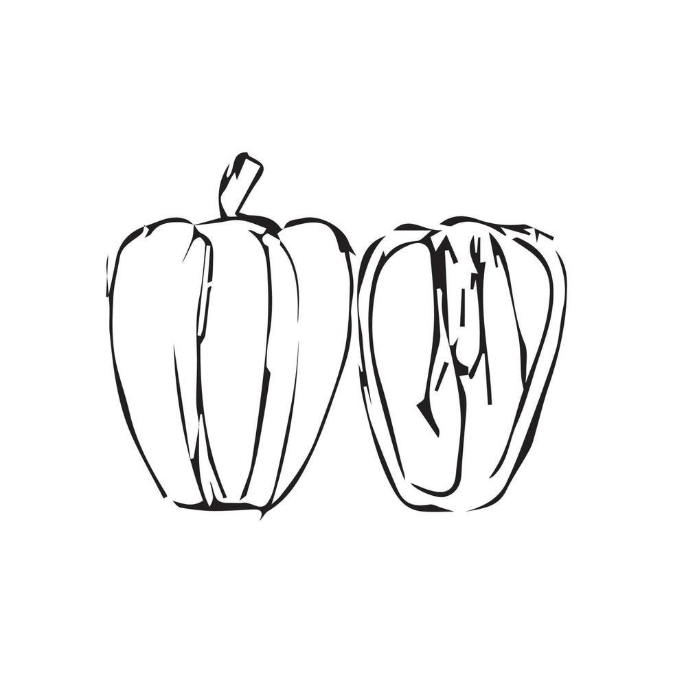 abóbora desenhada à mão. ilustração vetorial de abóbora para design com estilo de linha vetor