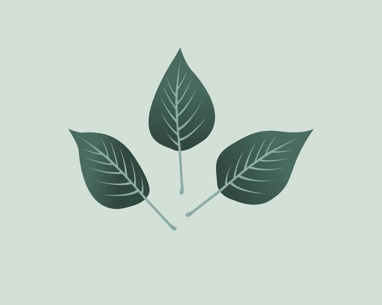 ilustração de folhas verdes vetor