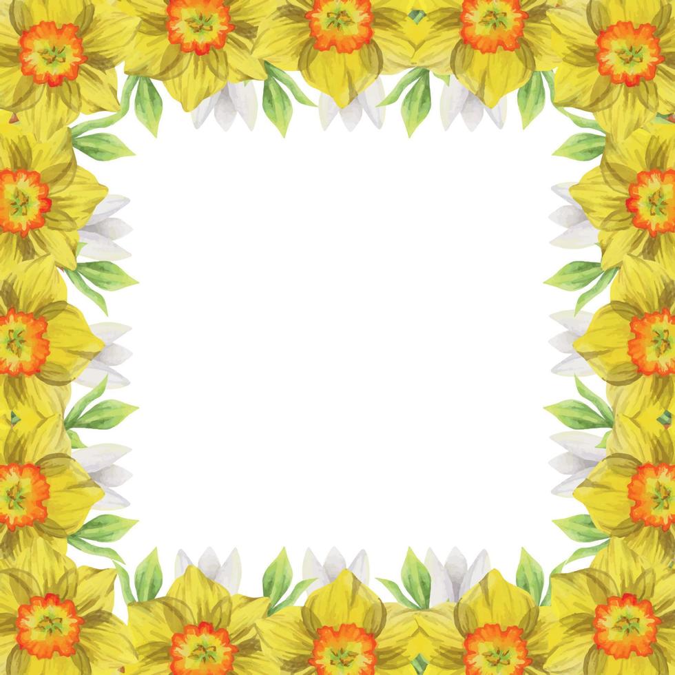 moldura quadrada desenhada à mão em aquarela com flores da primavera, narcisos, snowdrops, galhos, folhas. isolado no fundo branco. design para convites, casamento, cartões comemorativos, papel de parede, imprimir, têxtil vetor