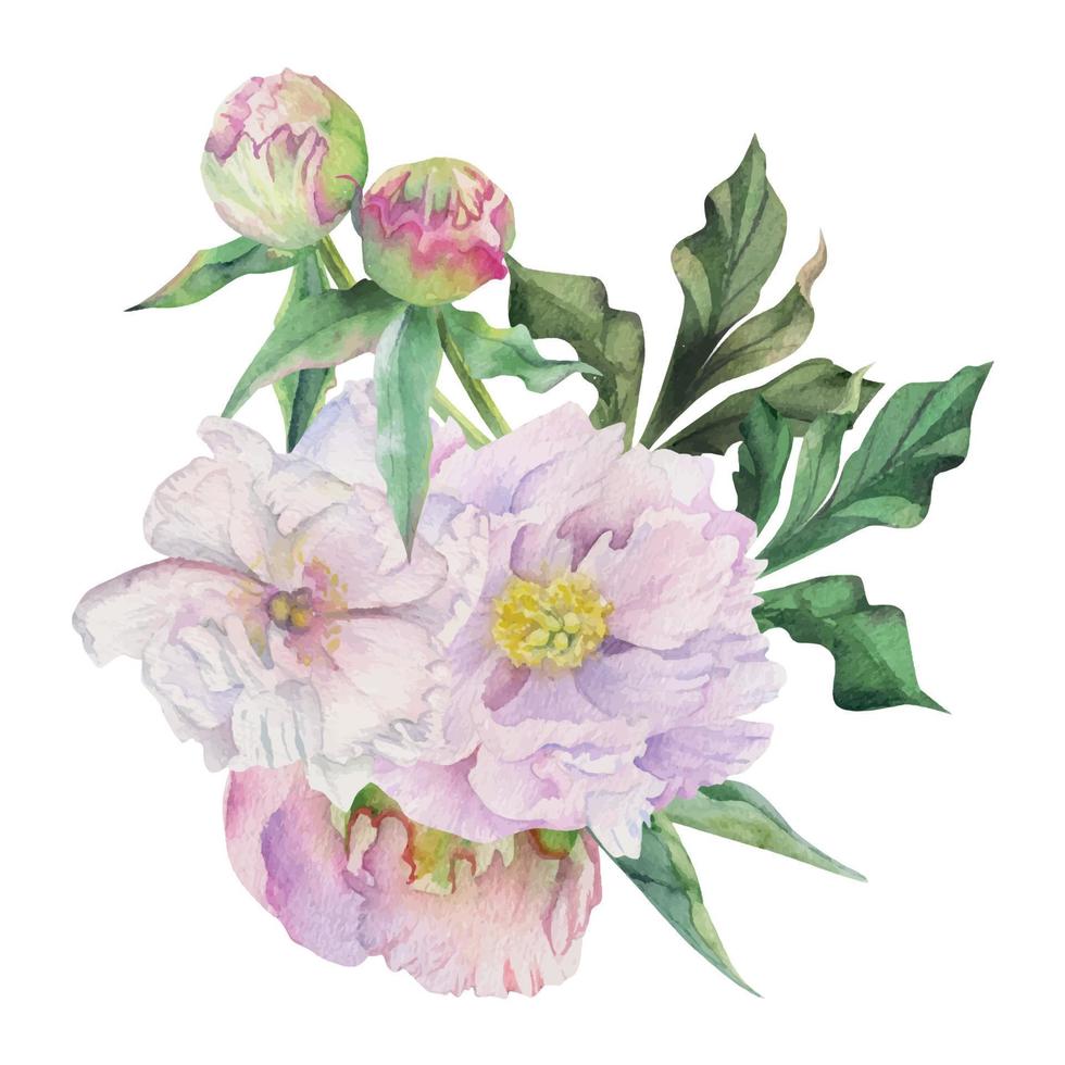 arranjo de buquê em aquarela com delicadas flores de peônia rosa desenhadas à mão, brotos e folhas. isolado no fundo branco. para convites, casamento, amor ou cartões, papel, impressão, têxtil vetor