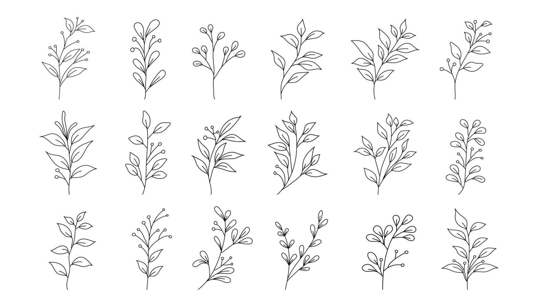 rabisco botânico moderno abstrato de flores silvestres em fundo branco vetor