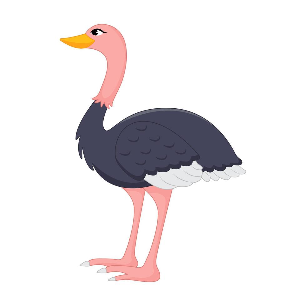 ilustração animal do flamingo vetor