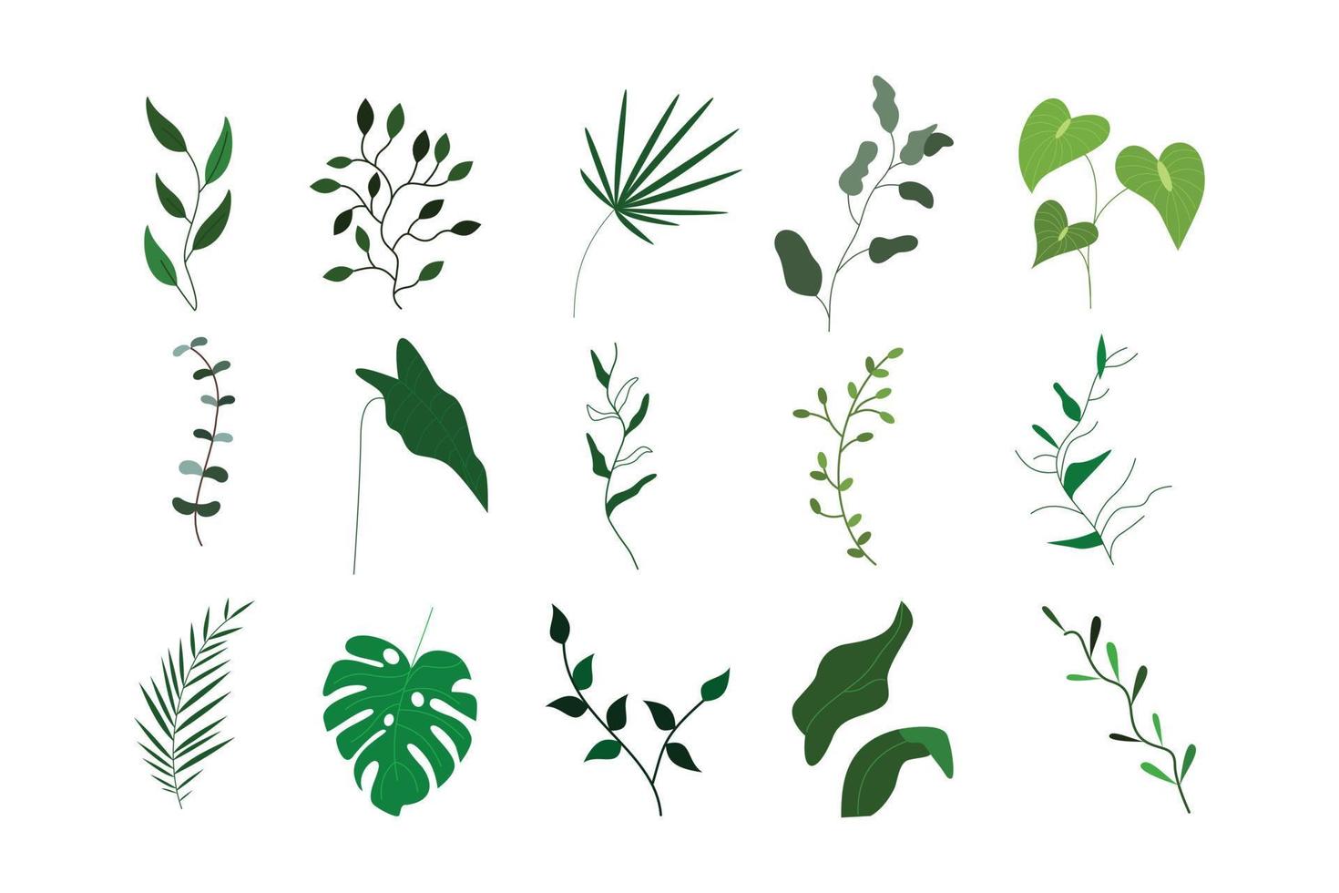 conjunto de belas folhas tropicais isoladas para o elemento de design da natureza vetor