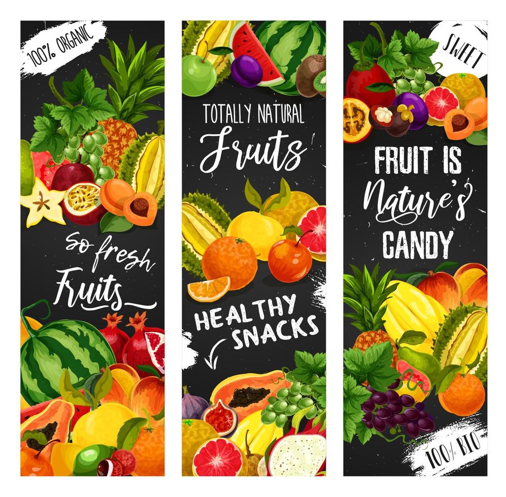 frutas exóticas e banners de quadro-negro de bagas de jardim vetor