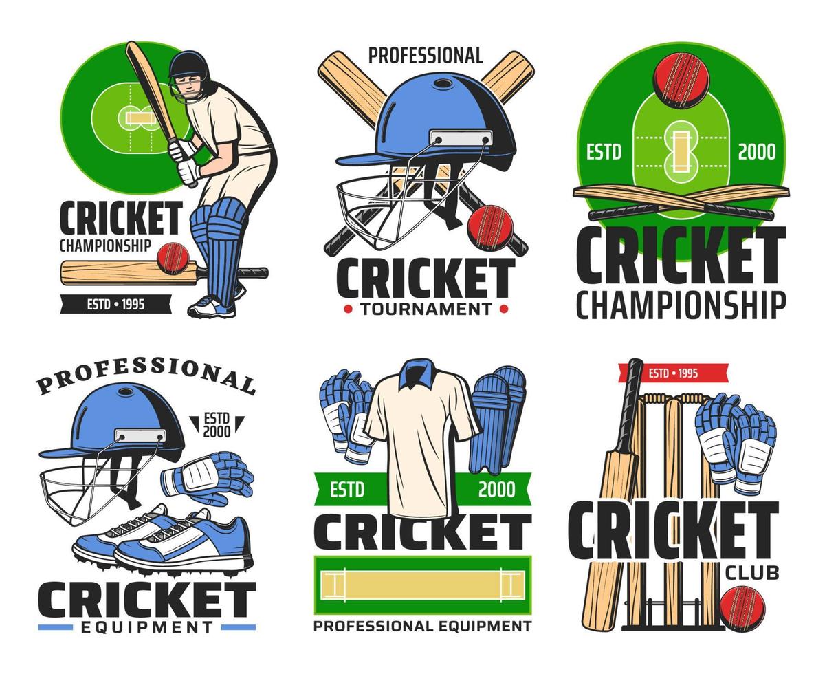 jogador de críquete com bola esportiva, morcego, ícones de wicket vetor