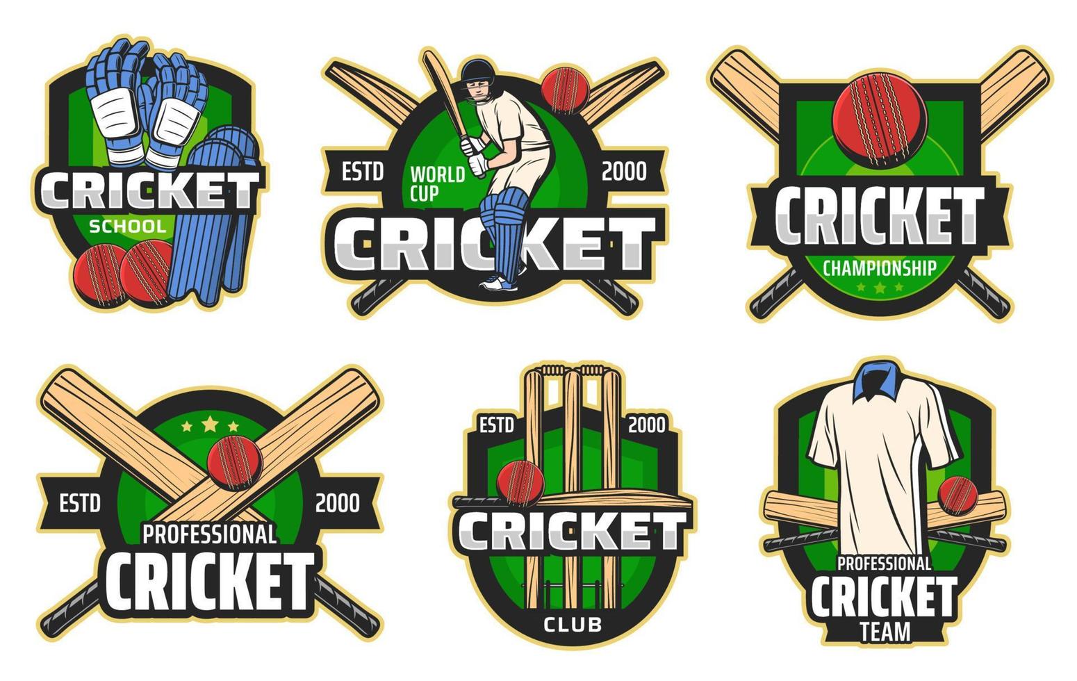 bola de críquete, morcego, postigo e ícones de jogador de batedor vetor