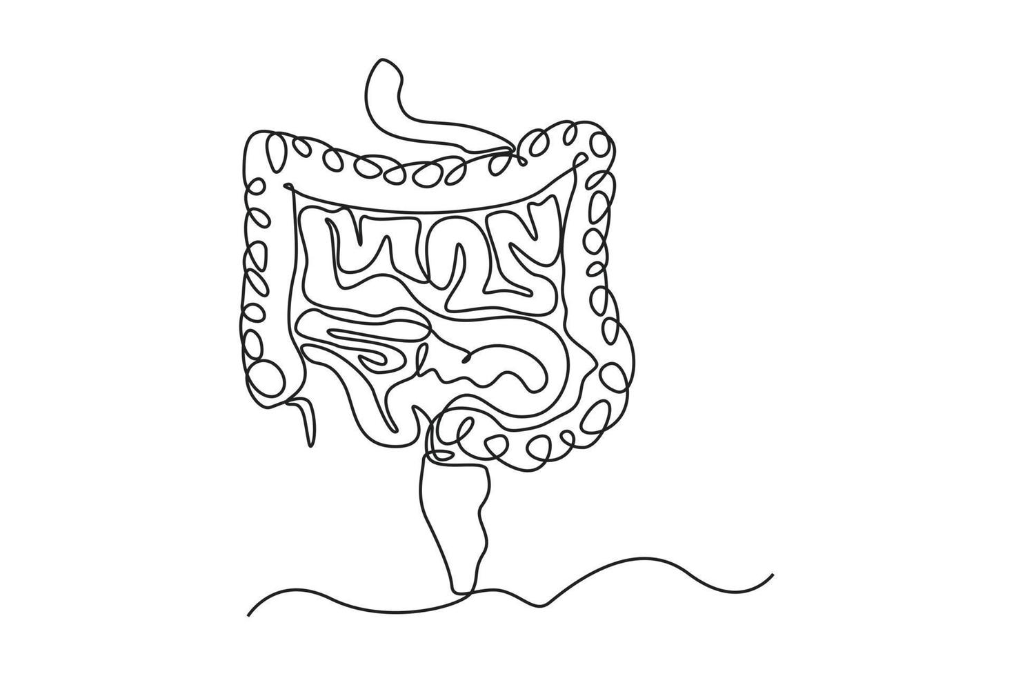 Anatomia dos intestinos de desenho de uma única linha. conceito de órgão humano. ilustração em vetor gráfico de desenho de desenho de linha contínua.