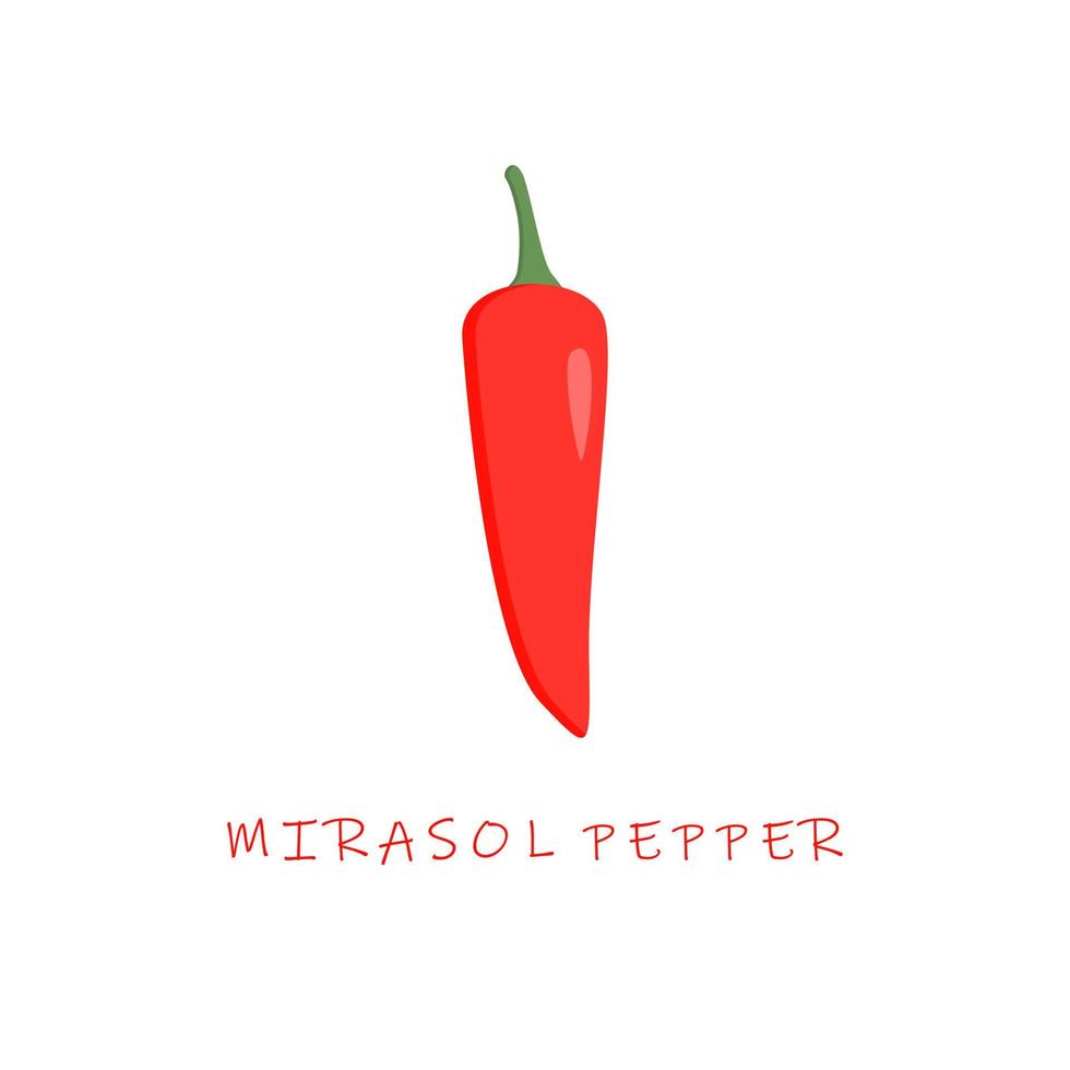 ilustração vetorial de design plano de pimenta mirasol vetor