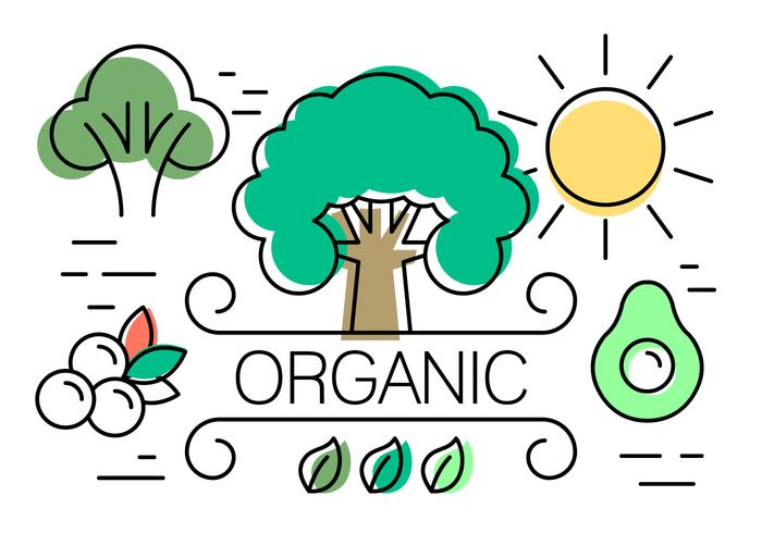 Elementos vetoriais lineares sobre a vida orgânica vetor