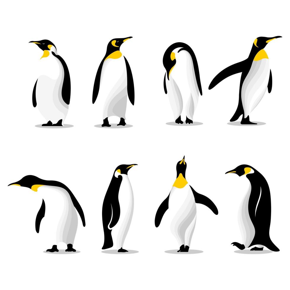 pinguins fofos em poses diferentes ilustração vetorial vetor