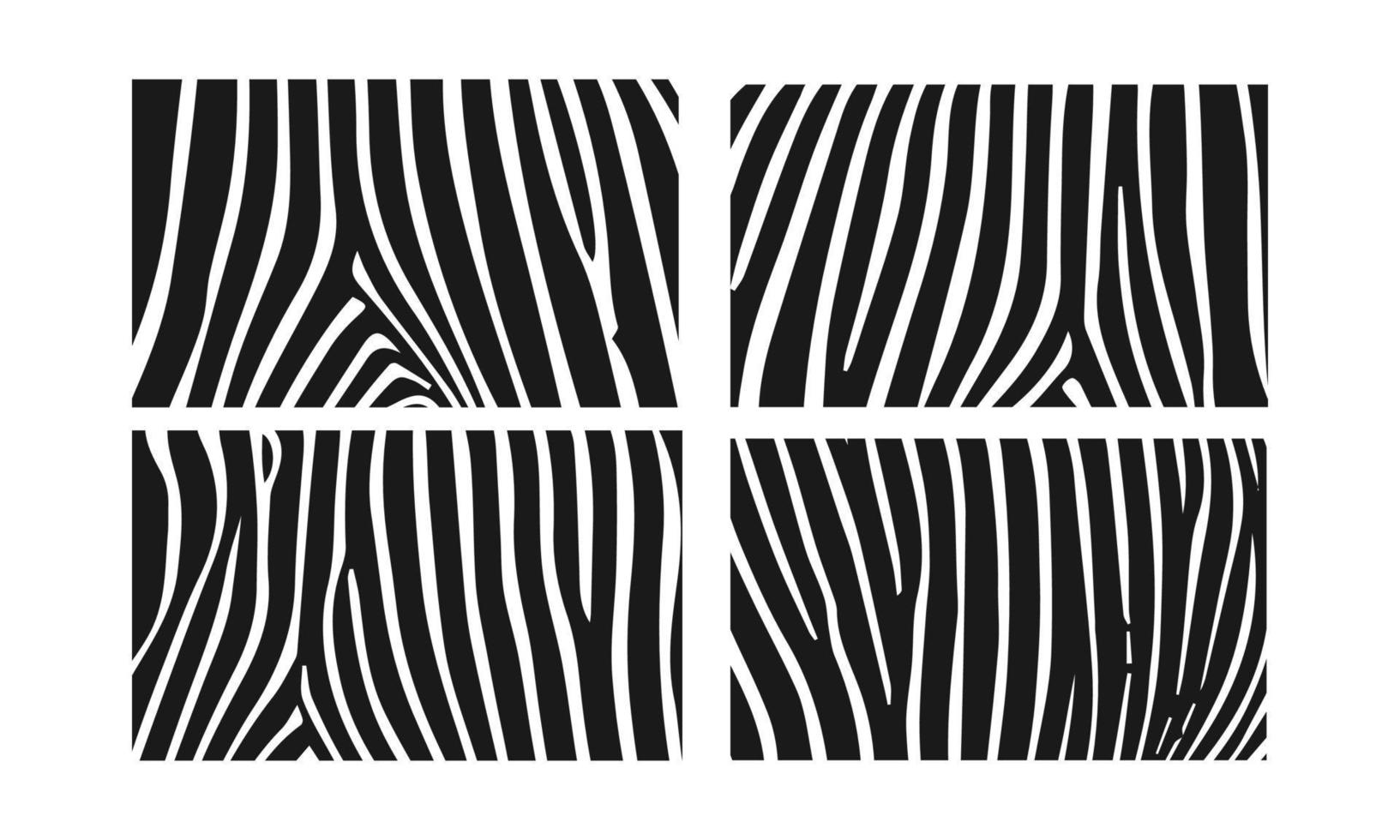 vetor de textura de zebra de pele