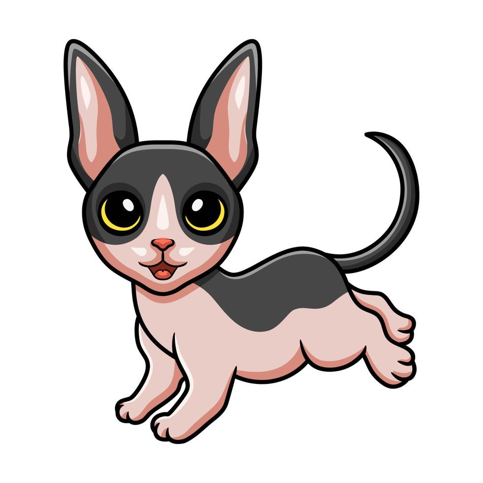 desenho de gato bonito cornish rex vetor