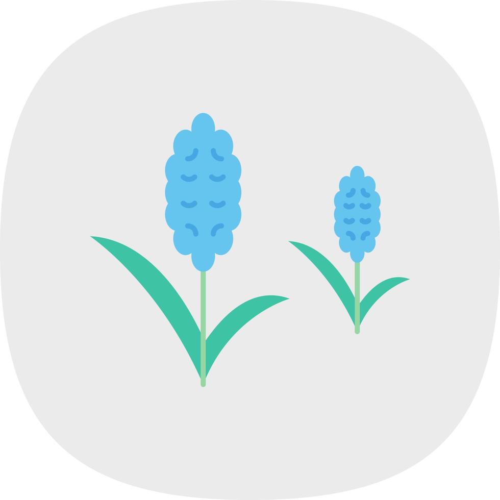 design de ícone de vetor de jacinto