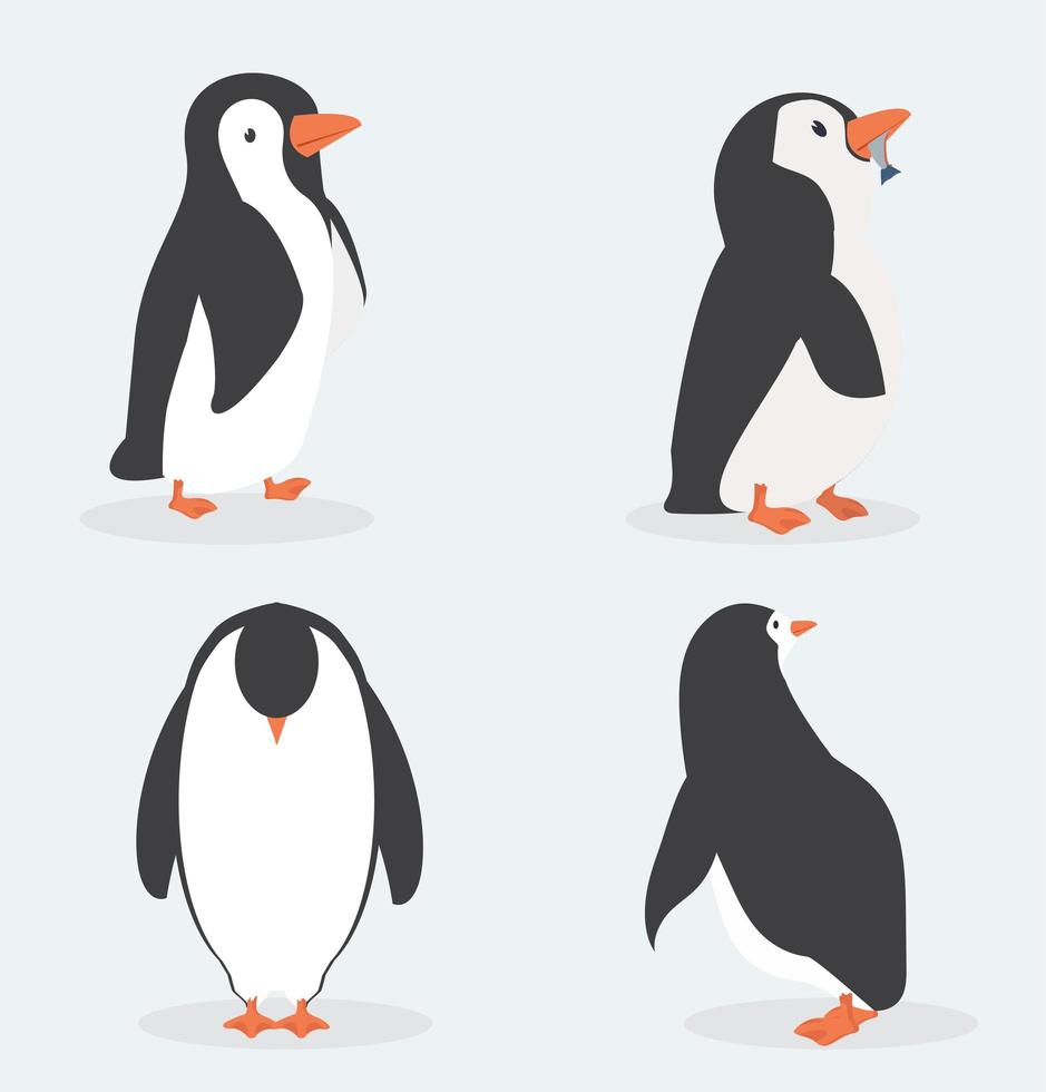 personagens de pinguins fofos em diferentes poses vetor