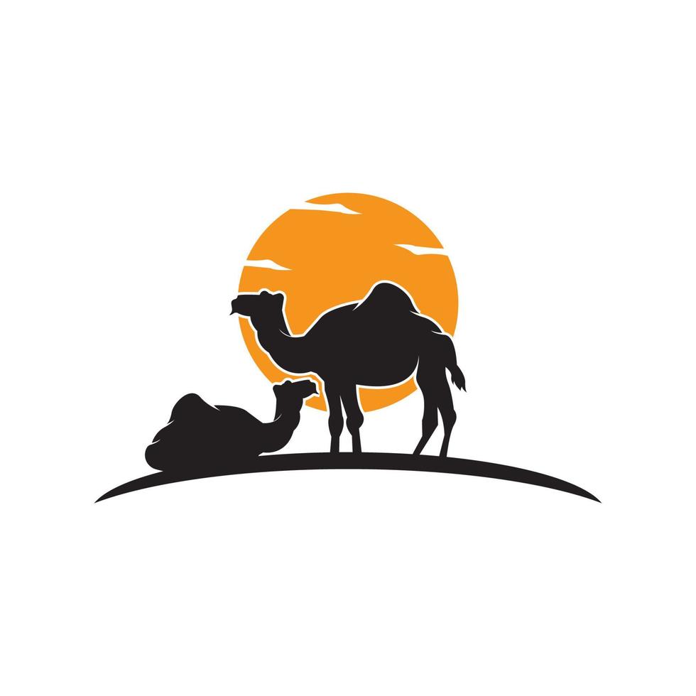 camelo com pôr do sol no design de ilustração vetorial do deserto vetor