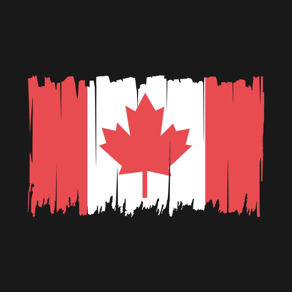 ilustração vetorial de escova de bandeira do canadá vetor