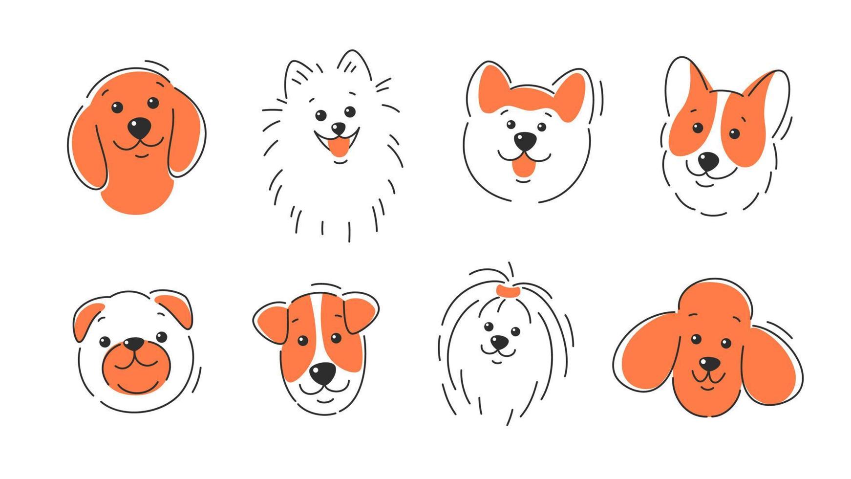 conjunto de rostos de cães de diferentes raças. corgi, akita, spitz, dachshund, poodle, terrier, pug. ilustração vetorial em fundo branco vetor