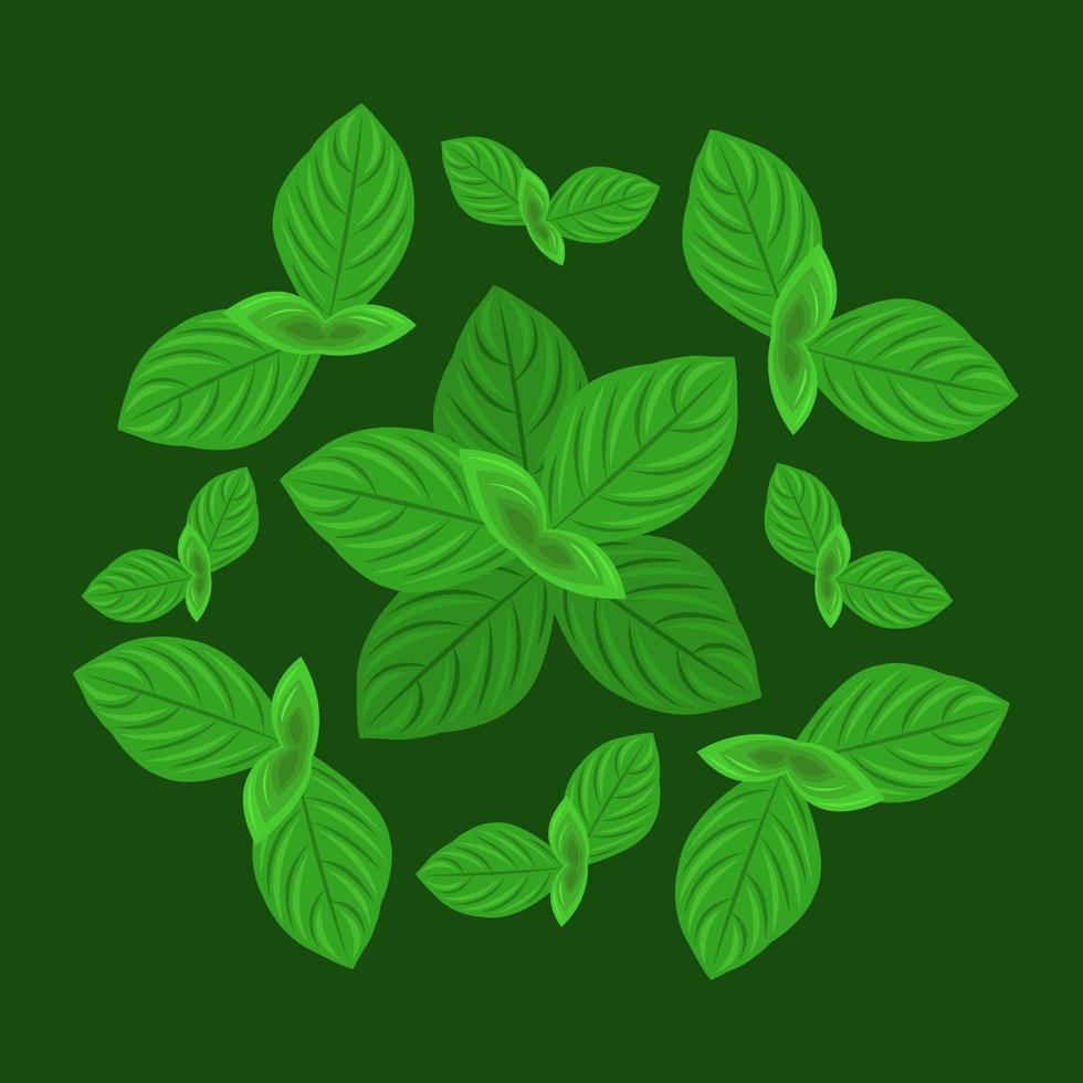 ilustração vetorial de planta de manjericão verde para design gráfico e elemento decorativo vetor