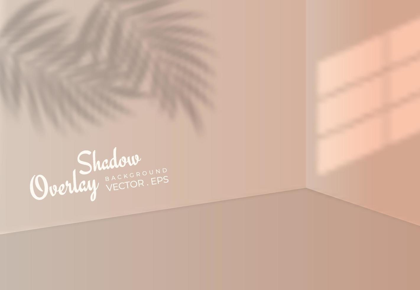 sobreposição de sombra de fundo com silhueta de janela e folhas de palmeira vetor