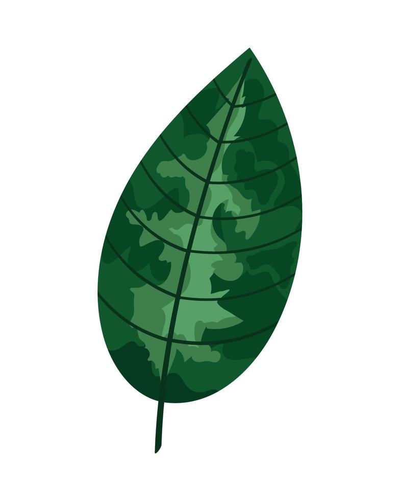 folhagem de planta de folha verde vetor