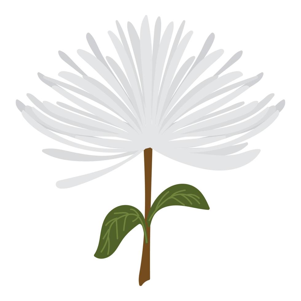 ícone de flor branca vetor