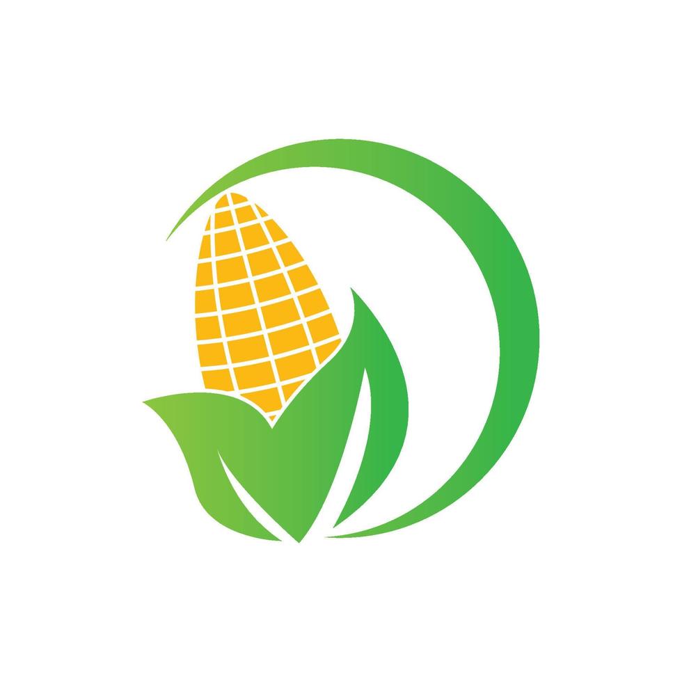 design de logotipo de ilustração vetorial de ícone de milho vetor