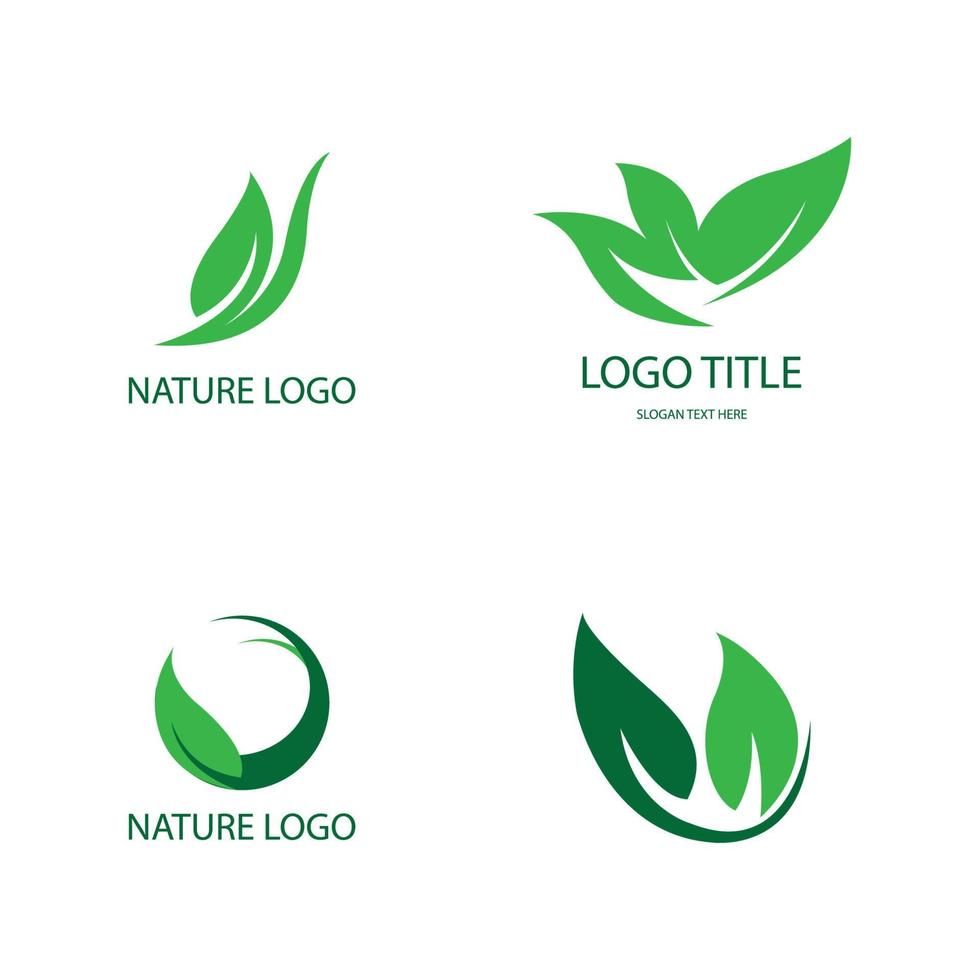 modelo de conceito de logotipo de natureza de folha vetor