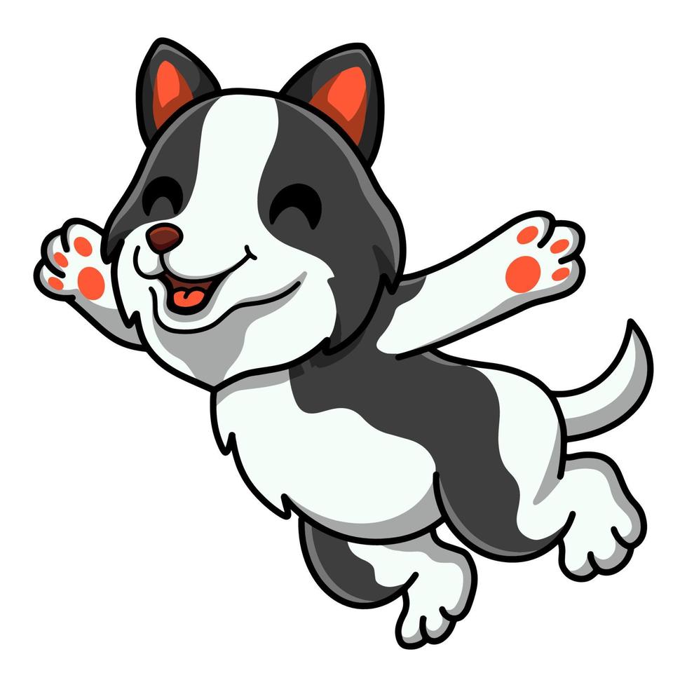 desenho animado de cachorro border collie fofo pulando vetor