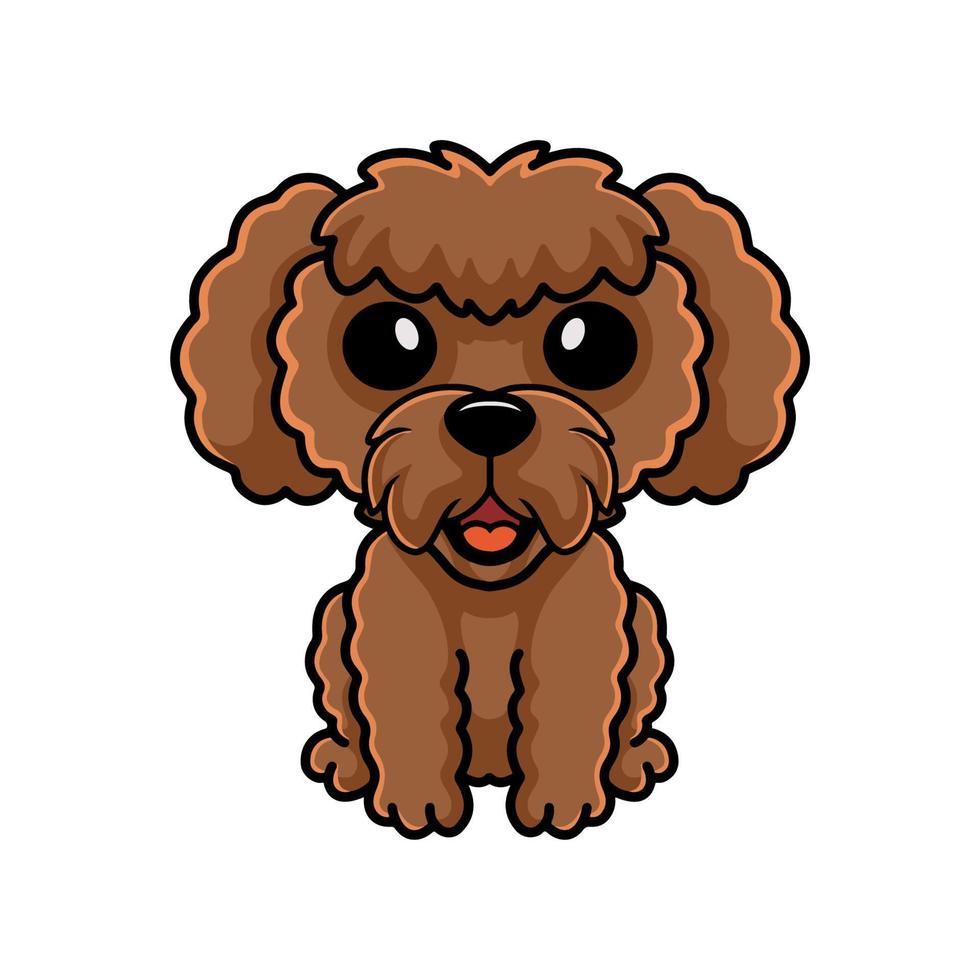 desenho animado de cachorro poodle de brinquedo fofo vetor