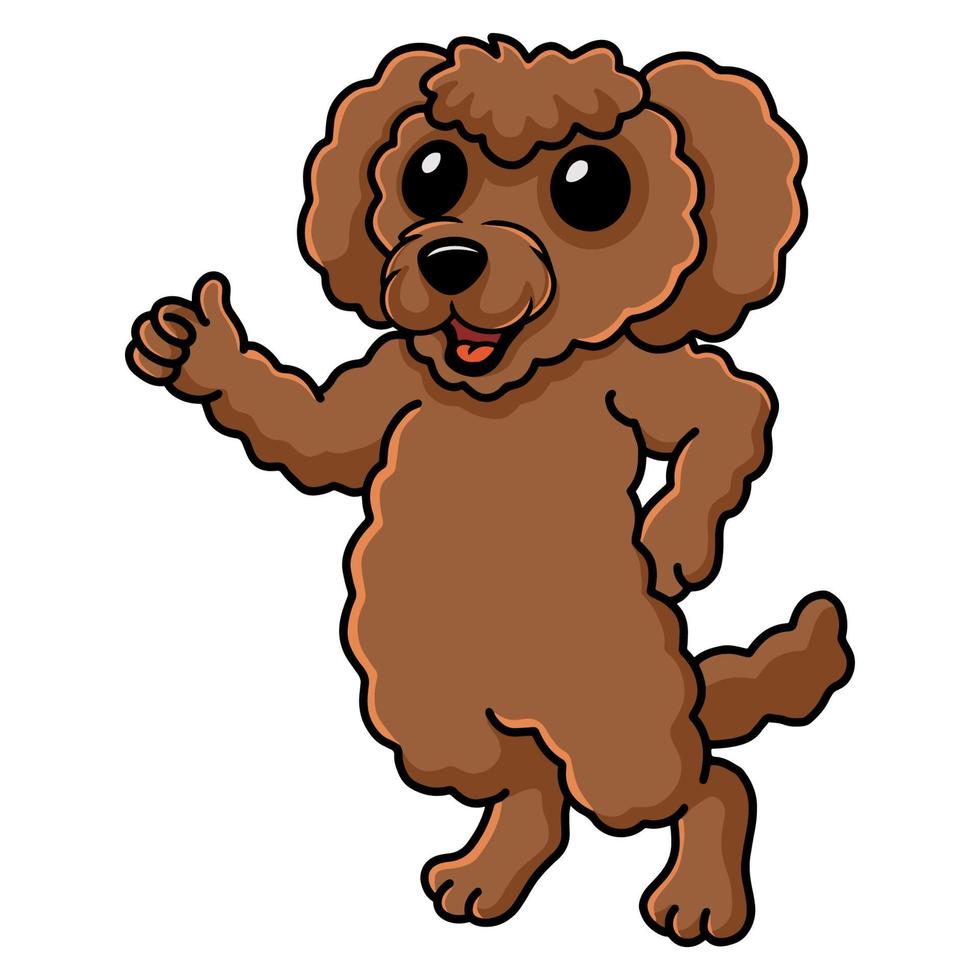 desenho animado de cachorro poodle de brinquedo fofo desistindo de polegar para cima vetor