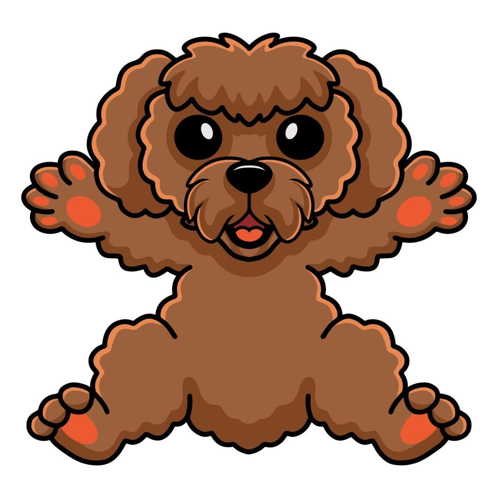 desenho animado de cachorro poodle de brinquedo fofo vetor