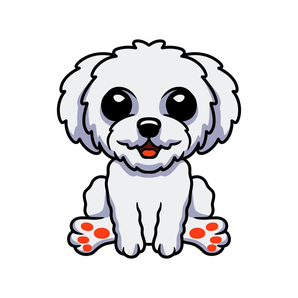 bonito desenho animado bichon frise sentado vetor