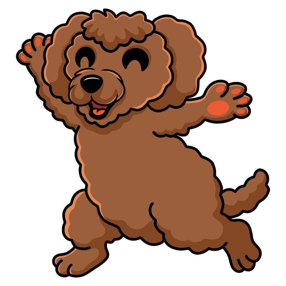 desenho animado de cachorro poodle de brinquedo fofo andando vetor