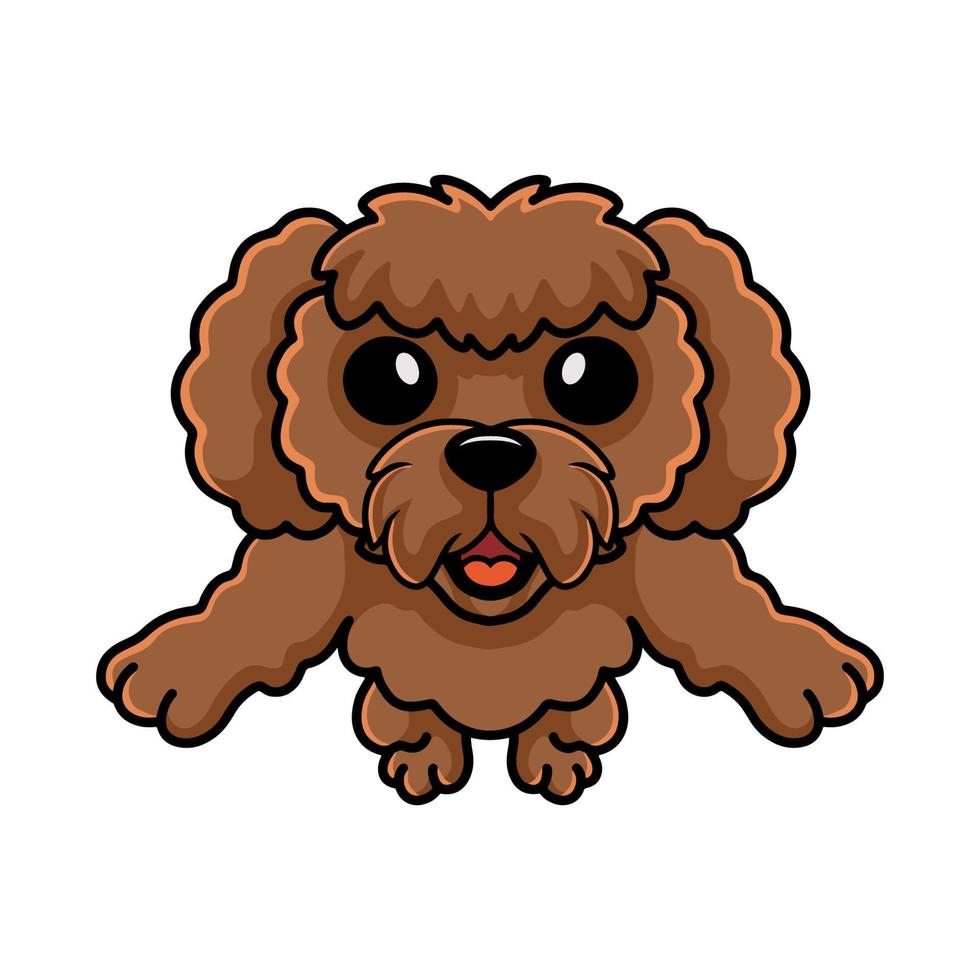 desenho animado de cachorro poodle de brinquedo fofo segurando um osso vetor