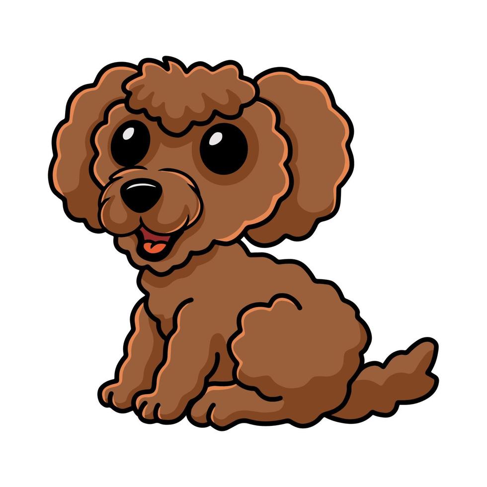 desenho animado de cachorro poodle de brinquedo fofo vetor