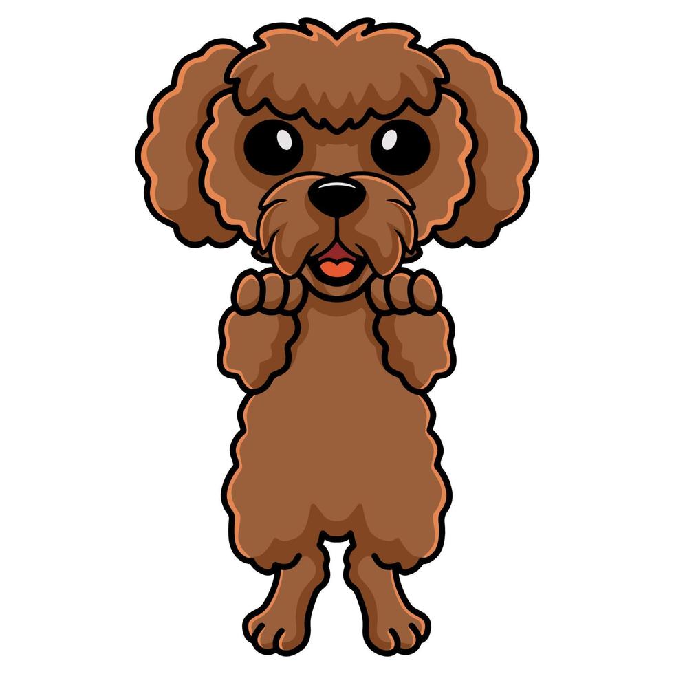 desenho animado de cachorro poodle de brinquedo fofo em pé vetor