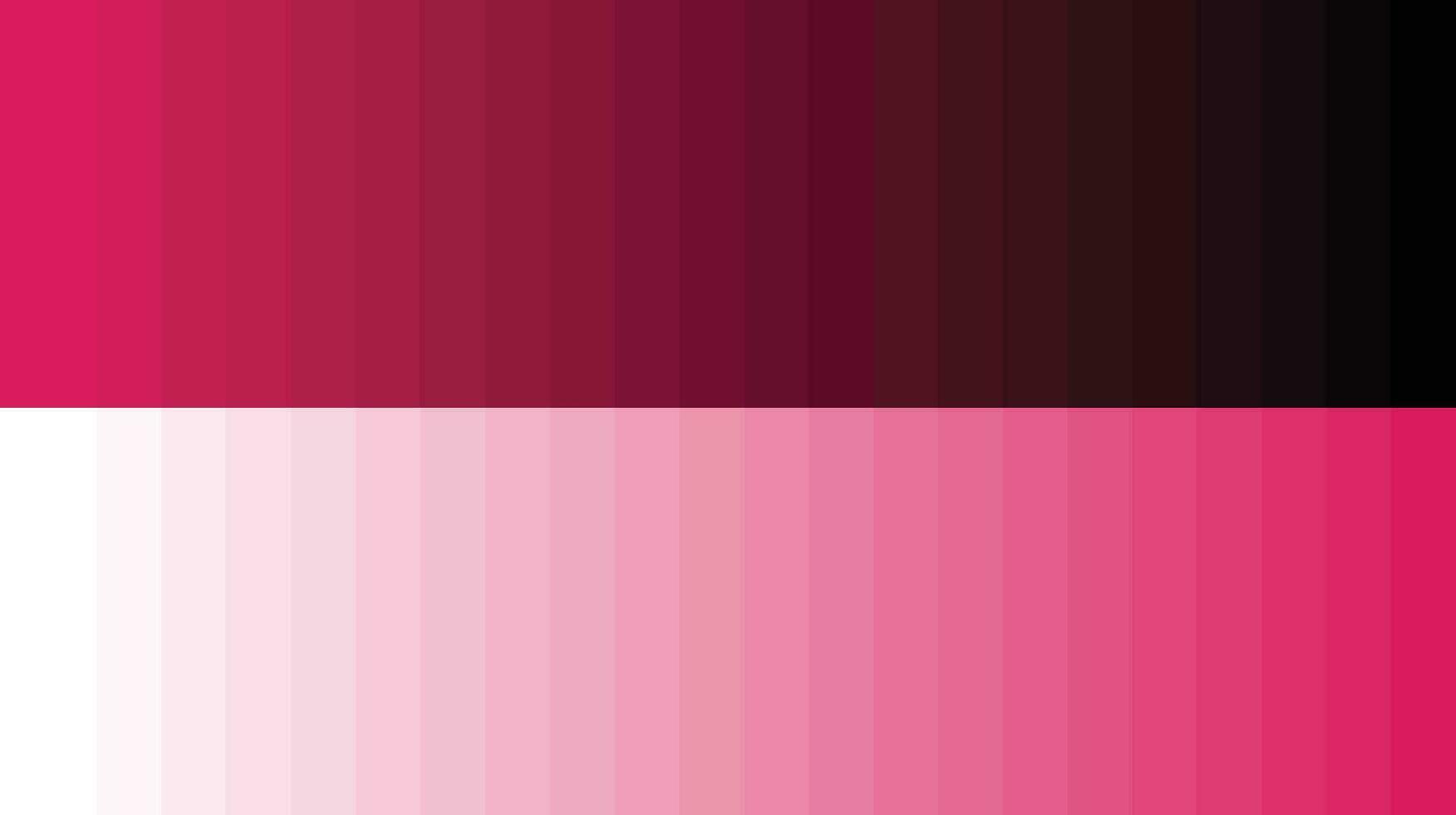paleta de cores rosa vetor
