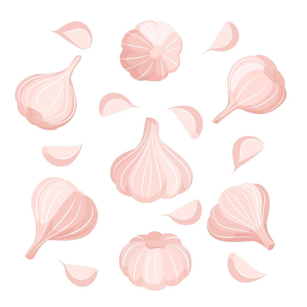 ilustração vetorial de alho e dentes de alho. conjunto de alho isolado no fundo branco. ilustração de comida vegana de legumes. vetor