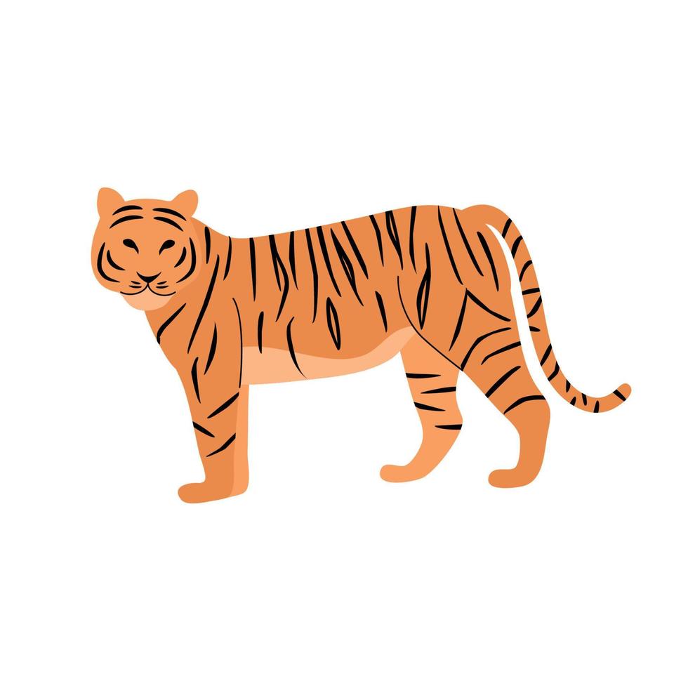 ilustração em vetor de tigre em um fundo branco. gato grande.