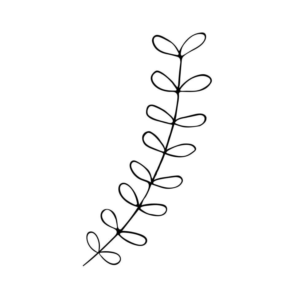 raminho com folhas em estilo doodle. ícone de vetor preto e branco