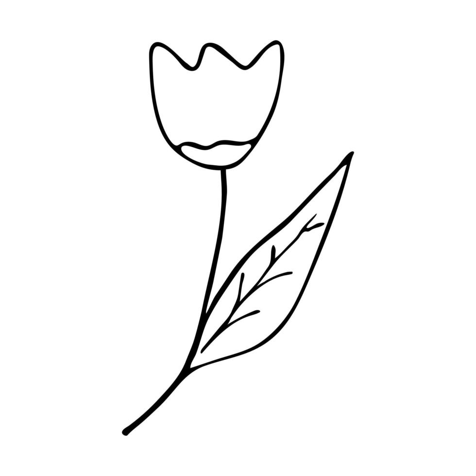 vetor de ilustração preto e branco de tulipa estilo doodle