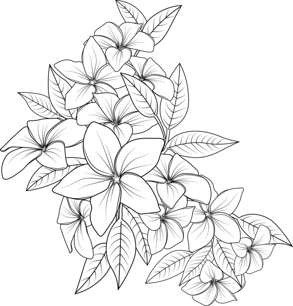 conjunto de uma flor frangipani estilizada decorativa, isolada no fundo branco. ilustração vetorial altamente detalhada, estilo rabisco e zentangle, flores de plumeria em flor e design de tatuagem. vetor
