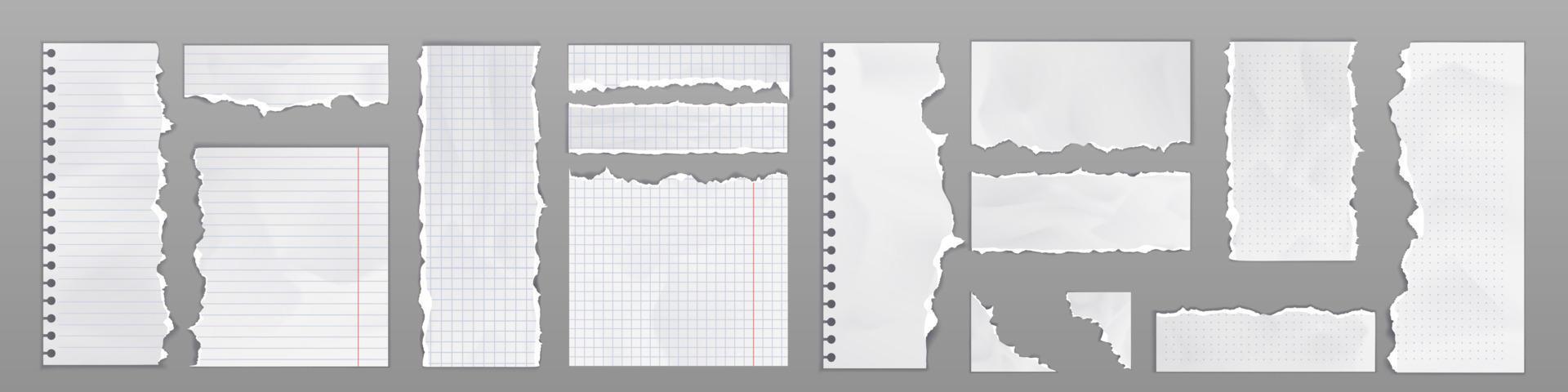páginas de caderno e folhas de papel com bordas rasgadas vetor